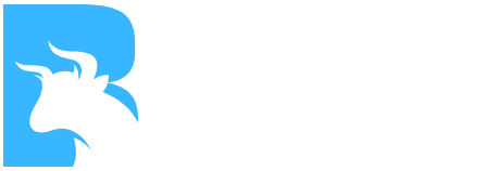 Salt Ridge Holdings